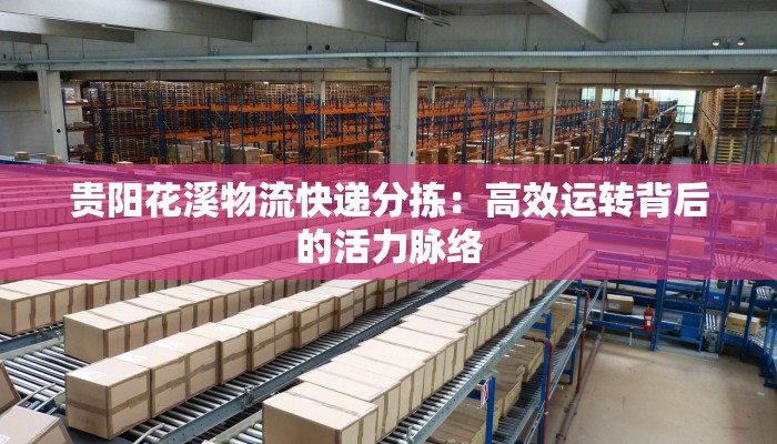 贵阳花溪物流快递分拣:高效运转背后的活力脉络 贵阳花溪物流快递分拣:高效运转背后的活力脉络