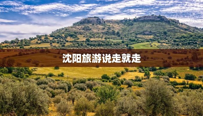 济南最新疫情最新情况 济南最新疫情最新情况