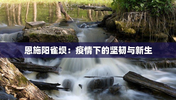 兰州西北疫情最新消息:守护健康,科学防控,共筑安全屏障 兰州西北疫情最新消息:守护健康,科学防控,共筑安全屏障