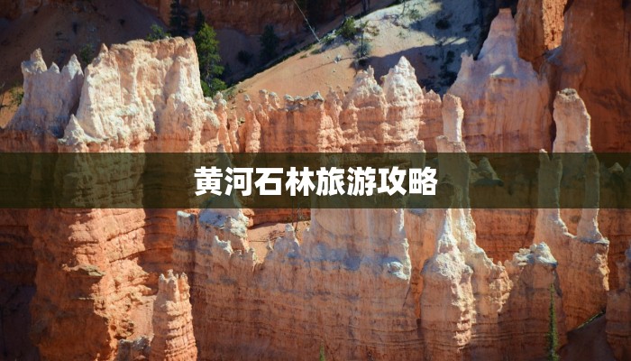 黄河石林旅游攻略 黄河石林旅游攻略