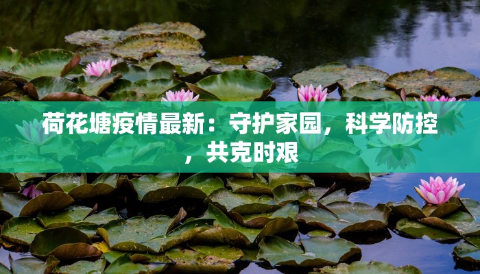荷花塘疫情最新：守护家园，科学防控，共克时艰
