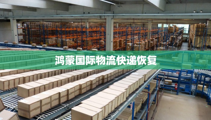 鸿蒙国际物流快递恢复 鸿蒙国际物流快递恢复