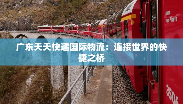 广东天天快递国际物流：连接世界的快捷之桥