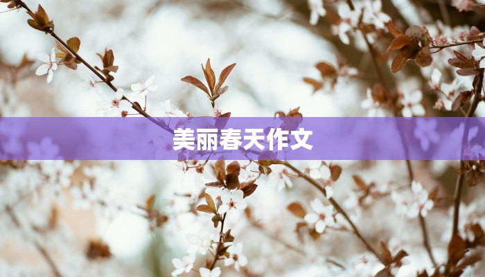 美丽春天作文