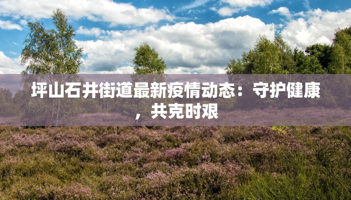 坪山石井街道最新疫情动态：守护健康，共克时艰