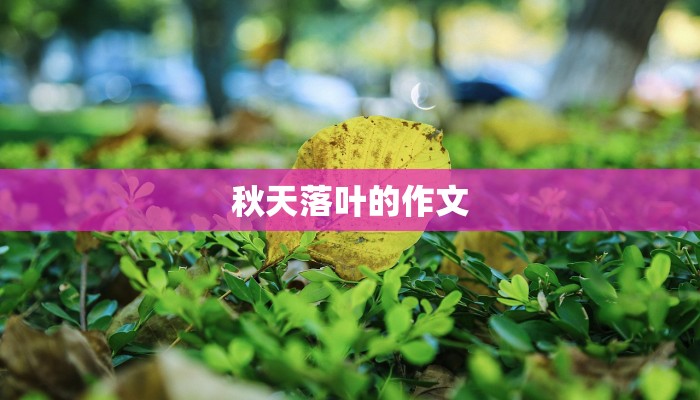 秋天落叶的作文