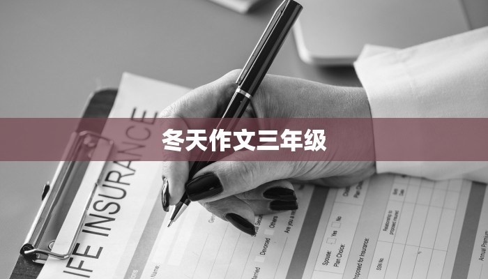 冬天作文三年级