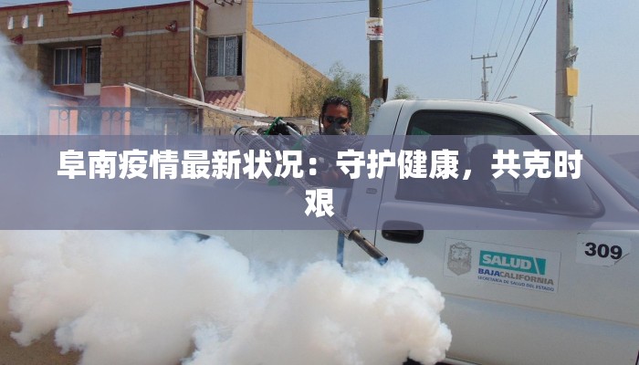 阜南疫情最新状况：守护健康，共克时艰