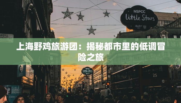 上海野鸡旅游团：揭秘都市里的低调冒险之旅