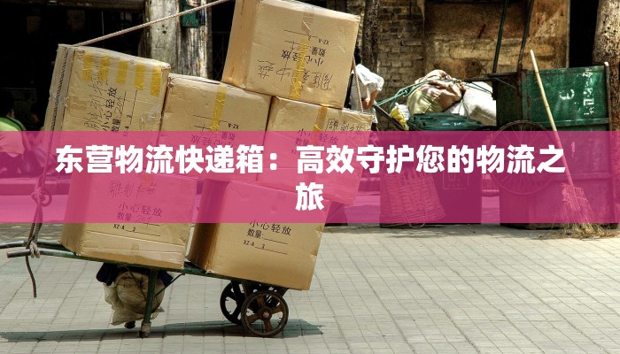 东营物流快递箱：高效守护您的物流之旅